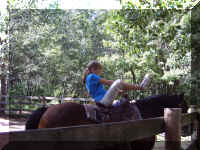 Horsie.jpg (153141 bytes)